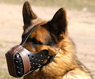 German Shepherd training Leather dog muzzle "Dondi"-plus style German Shepherd training Leather dog muzzle "Dondi"-plus style