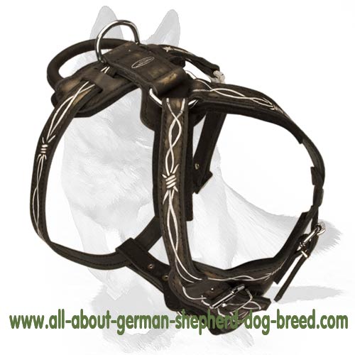 Dog Leather Harness