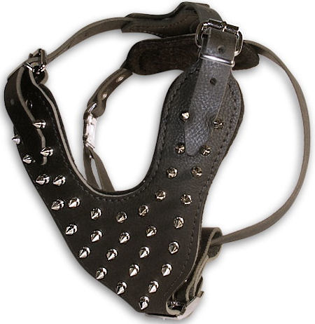 Best Small Dog Training Collar Reviews Best Small Dog Training Collar Reviews