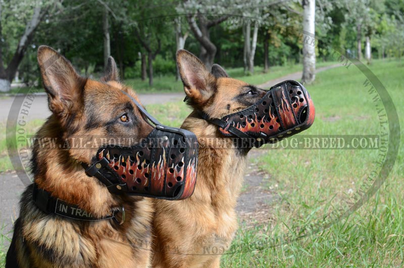 Burning Flames Dog Muzzle for Agitation/Attack [M77FL1070 Handpainted ...