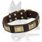 Exquisite German Shepherd Leather Collar with Brass Plates