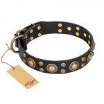 'Baroque Chic' FDT Artisan Studded Black Leather Dog Collar for German Shepherd Dog Walking