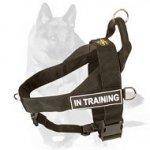 Durable Nylon Harness for German Shepherd - Search&Rescue