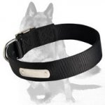 Lightweight 2 Ply Nylon Dog Collar with Metal Name Plate for Identification