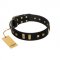 "Fit for Royalty" FDT Artisan Black Leather German Shepherd Collar with Plates and Small Square Studs
