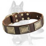 Gorgeous Warlike Leather Collar for German Shepherd