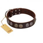 "Treasure Hunter" FDT Artisan Brown Leather German Shepherd Collar with Old-Bronze-like and Silvery Medallions
