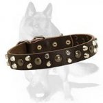 Custom Studded Leather Dog Collar for German Shepherd