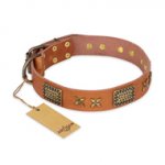 'Cosmic Traveller' FDT Artisan Adorned Leather Dog Collar with Stars and Plates 1 1/2 inch (40 mm) Wide