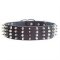 2 inch Leather Dog Collar with Studs and Spikes for German Shepherd
