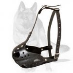 'Mighty Maxxx' - Heavy Duty Police Muzzle