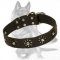 German Shepherd Floral Leather Dog Collar