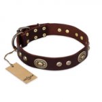 'Breath of Elegance' FDT Artisan Decorated with Plates Brown Leather German Shepherd Collar