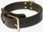 Leather Working Dog Collar for GERMAN SHEPHERD-2 ply collar
