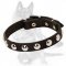 Daily German Shepherd Collar with Nickel studs