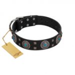 "Boundless Blue" FDT Artisan Black Leather German Shepherd Collar with Chrome Plated Brooches and Square Studs