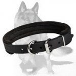 Padded Leather Dog Collar with thick felt 1 inch (25 mm) in width