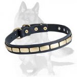 Exquisite German Shepherd Leather Collar with Plates