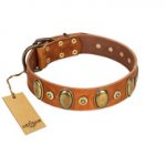 "Crystal Sand" FDT Artisan Tan Leather German Shepherd Collar with Vintage Looking Oval and Round Studs