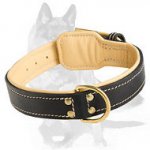 Rich Nappa padded leather collar