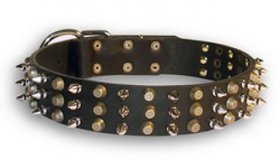 Fashionable Leather Collar with Nickel Spikes and Brass Studs for German Shepherd