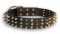 Fashionable Leather Collar with Nickel Spikes and Brass Studs for German Shepherd