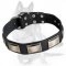Designer Dog Collar with carved metal plates for German Shepherd