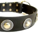 Deluxe Leather Dog Collar with jewelry for German Shepherd