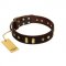 "Blinking Illusion" FDT Artisan Brown Leather German Shepherd Collar with Old Bronze-like Studs and Plates
