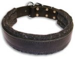Wide Stitched Leather Dog Collar-D Ring in Front German Shepherd