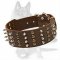 German Shepherd Spiked and Studded Leather Collar