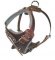 GERMAN SHEPHERD adjustable dog harness - H1
