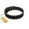 "Star Way" FDT Artisan Black Leather German Shepherd Collar with Bronze-like and Silver-like Star Studs