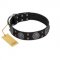 "Boundless Blue" FDT Artisan Black Leather German Shepherd Collar with Chrome Plated Brooches and Square Studs