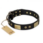 "Spanish night" FDT Artisan Black Leather German Shepherd Collar - 1 1/2 inch (40mm) wide