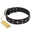 "Star Excitement" Modern FDT Artisan Black Leather German Shepherd Collar with Studs and Stars
