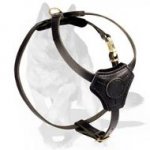 ‘Tango’ Small Leather Dog Harness for German Shepherd Puppy