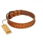 "Walk and Shine" FDT Artisan Tan Leather German Shepherd Collar with Antiqued Studs