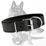 Leather Dog Collar padded with thick felt 1 1/2 inch (40 mm) in width