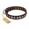 "Step and Sparkle" FDT Artisan Brown Leather German Shepherd Collar with Studs