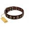 "Captain Hook" FDT Artisan Brown Leather German Shepherd Collar with Stars and Skulls