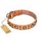 "Extra Sparkle" Tan Leather German Shepherd Collar from FDT Artisan Collection