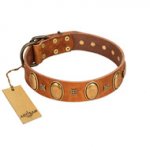 "Glossy Autumn" Designer Handmade FDT Artisan Tan Leather German Shepherd Collar with Ovals and Studs