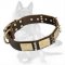 Genuine Leather Collar with Luxury Brass Plates and Nickel Spikes