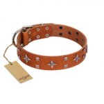 "Tawny Beauty" FDT Artisan Tan Leather German Shepherd Collar Adorned with Stars and Tiny Squares