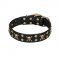'Jolly Rojer' FDT Artisan German Shepherd Leather Canine Collar with Studs and Skulls