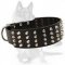 Wide Studded Leather Dog Collar for German Shepherd