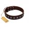"Spring Flower" Stylish FDT Artisan Brown Leather German Shepherd Collar for Comfy Walks