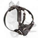 Ultra Leather Dog Harness for German Shepherd-Tracking Harness
