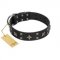 "Star Excitement" Modern FDT Artisan Black Leather German Shepherd Collar with Studs and Stars